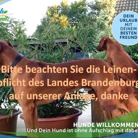 Jagd-Angler-Holzhaus-Im-Wald-Am-See Villa Kyritz Exterior foto